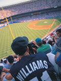 People at a Baseball Game