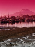 Crescent Harbor and Mt Verstovia