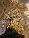 Angkor  Ta Som  East Entrance  Cambodia
