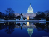 US Capitol and Christmas Tree