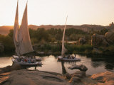 Feluccas on the Nile River