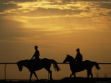 Silhouetted Men Riding on Horses  Dubai  UAE