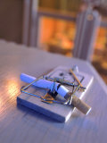 Broken Cigarette Caught in a Mouse Trap