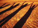 Shadows of People. Silvestre Machado. Photographic Print, 12 sizes available