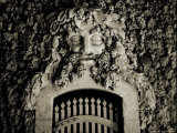 A Gate with a Face Made from Coral