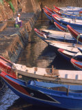 Fishing Boats in Harbor  Taiwan