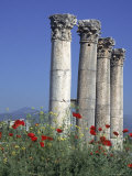 Poppies and Corinthian Columns  Mersin  Turkey