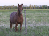 Gimli  Rural Area