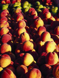 Peaches and Pears  Grand Haven  MI
