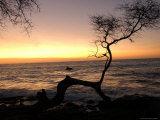 Big Island of Hawaii - Sunset from Beach
