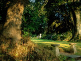 Steps Leading up to Saddle Stones and Across Lawn to Urn  at St Martins Manor  Cornwall