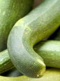 Close-up of Marrows