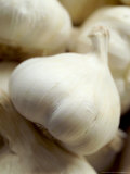 Close-up of Organic Garlic Bulbs