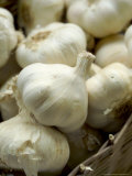 Organic Garlic Bulbs in Basket