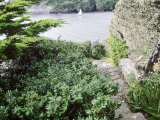 Seaside Garden  View Along Garden Path to Sea Headland Garden  Corwall  UK