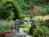 Granite Gate Posts in Contemporary Garden Late Summer Pinsla Garden  Cornwall