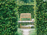 Bench Beside Formal Pond Carpinus Hedges  Path