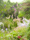 Statue Amongst Summer Planting