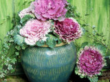 Winter Arrangement  Blue Glazed Pot  Ornamental Cabbage  Hedera Green Background  November