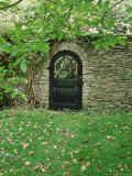 Ornamental Gate in Shade Under Tree  View Through Gateway  October  Hestercombe  Somerset
