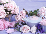 Rosa "New Dawn" & Rosa "Constance Spry" in Blue Trug  Teapot & Jug