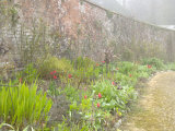 View Along the Long Border with Brick Wall and Climbing Roses Behind