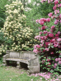 Blue Metal Bench with Painted Flower Motif Beneath Tree