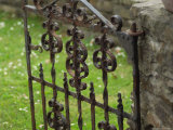 Rural Ireland  Iron Gate