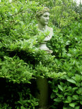 Stone Bust Partially Hidden Amongst Foliage The Larmer Tree Gardens  Dorset