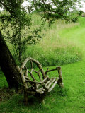 Rustic Wooden Bench Beneath Old Malus (Apple) Tree  Meadow in View at Cooks Farm Garden  Somerset