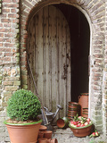 Buxus in Terracotta Pot  Apples in a Bowl  Empty Pots Outside Wo Oden Barn Door