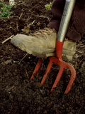 Mans Boot on Digging Fork  Prods in Soil