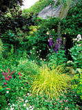 Country Garden with Colourful Perennials  Pond  Greenhouse and Statues  Sharcott Manor  Wiltshire