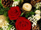 Christmas Arrangement of Two Red Roses with White Chrysanthemum