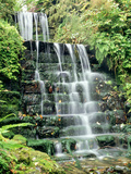 Tiered Waterfall  Moss  Lichen  Ferns