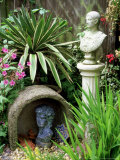 Ornamental Stone Cover Bust with Variegated Yucca and Hardy (Pelargonium) Geranium