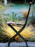 Chair (Bandstand) with Stipa Arundinacea (Pheasant Grass)