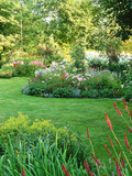 Island Beds Planted with Lychnis  Rosa  Caltha Palustris (Kingcups)  Iris & Polygonium