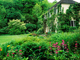 Wiltshire Bog and Woodland Garden with Pond and Lush Foliage