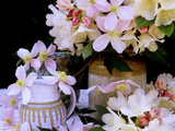 Rhododendron Yak Hybrid "Golden Torch" and Pink Clematis Montana (Travellers Joy)