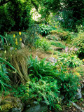 Garden Situated on a Hillside Overlooking Loch Ness  Scotland