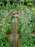 Formal Kitchen Garden