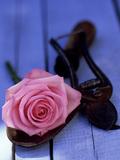Summer Still Life Outdoors  Single Stem of Pink Rosa (Rose) Resting on Hand Trowel