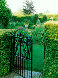 Large Cottage Style Garden  with Colourful Herbaceous Borders