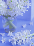 White Hyacinths in Vase with Flowers at Base Set Against Pale Blue Background