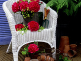 Summer Still Life Outdoors