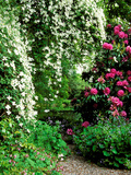Wiltshire Bog and Woodland Garden with Pond and Lush Foliage