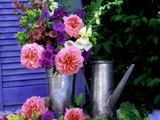 Summer Still Life Outdoors