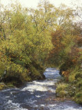 River in Autumn
