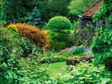 Large Informal Country Garden